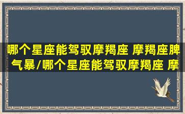 哪个星座能驾驭摩羯座 摩羯座脾气暴/哪个星座能驾驭摩羯座 摩羯座脾气暴-我的网站